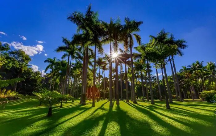 Xishuangbanna Tropical Botanical Garden, Yunnan, China